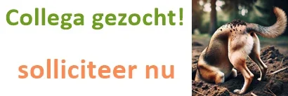 410-x-137-banner-rechts-vacature