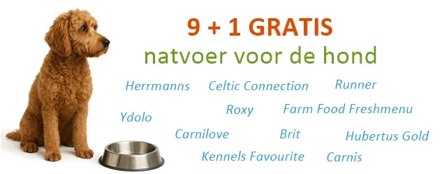 630x137-9-plus-1-natvoeding-hond
