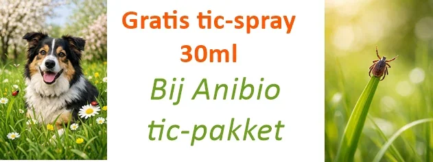 630x137-tic-pakket-mrt26