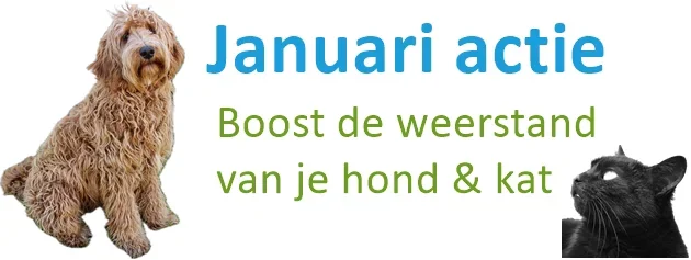 630x237-banner-januari-weerstand-actie