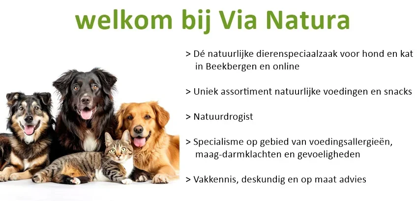 850x410-hoofdbanner-welkom-okt24