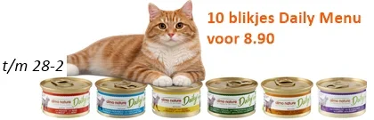 banner-420x135-daily-menu-10-voor