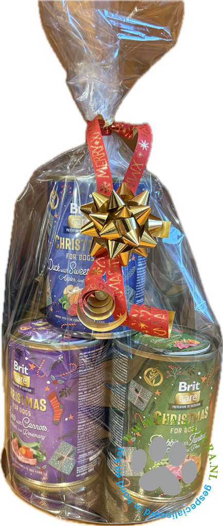 VIA NATURA - BRIT CHRISTMAS CANS SET 4 STUKS