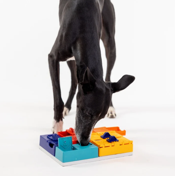 PAWZLER - GENIUS SET - RED