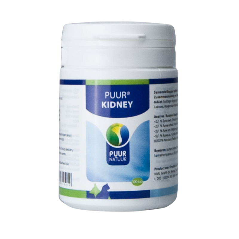 PUUR KIDNEY 300 TABL