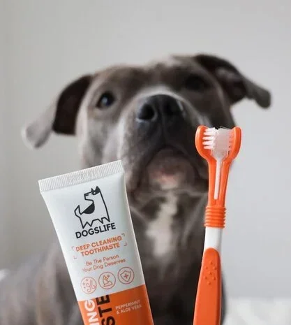 DOGSLIFE DENTAL KIT