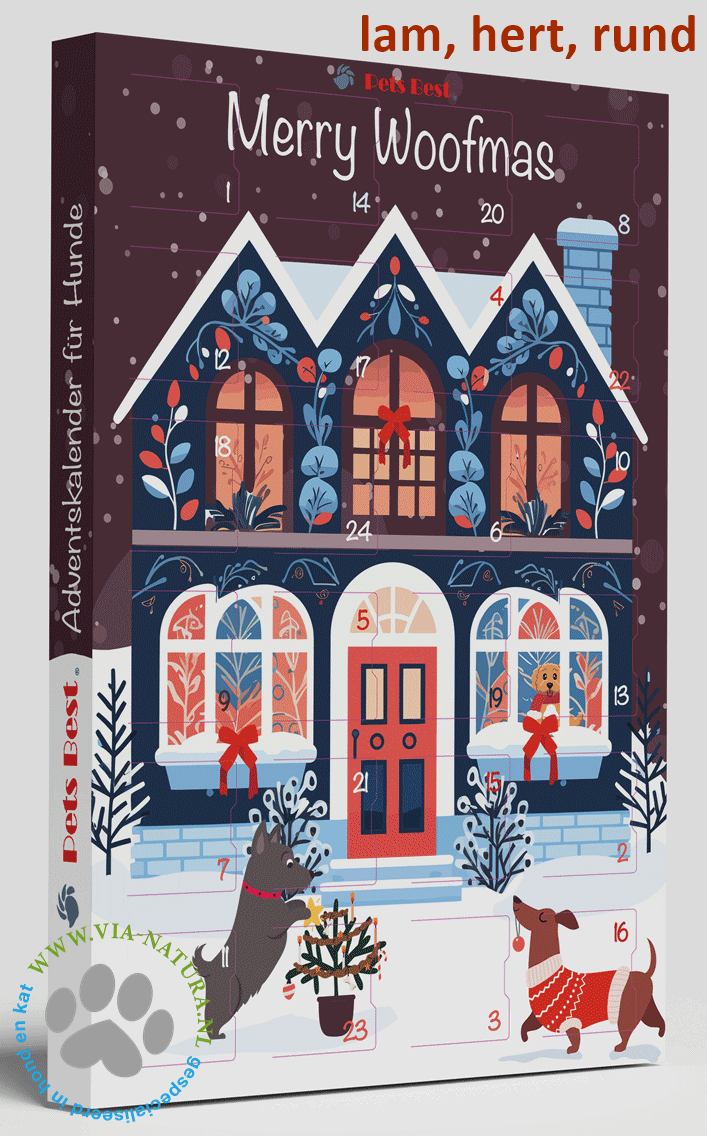 ADVENTSKALENDER 2025 COZY DOG HOUSE