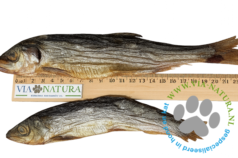 TANTE ROOS - NOORSE HARING PER STUK